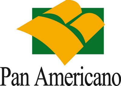 Empréstimos PanAmericano – Vantagens e Contatos