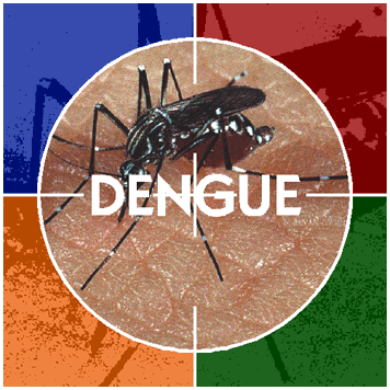 Saiba Tudo Sobre A Dengue