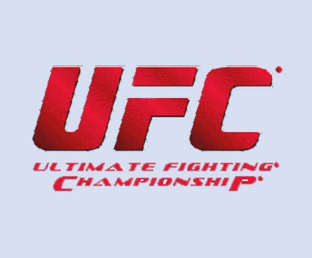 UFC – Artes Marciais Mistas (MMA) – Como è a Luta MMA