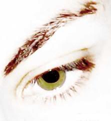 A Causa e o Sintoma dos Olhos Secos