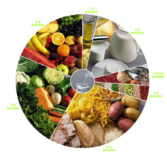 Dieta de Alimentação Saudável – Proteínas, Carboidratos, Fibras, Cálcio