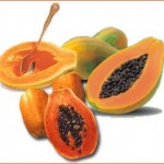 Os Principais Benefícios do Mamão Os Principais Benefícios do Mamão