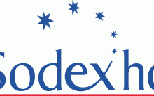 Sodexho- Consultar Saldo do cartão Pela Internet