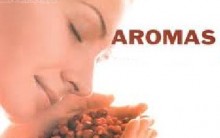 Aromaterapia – Cheiros Que Cura