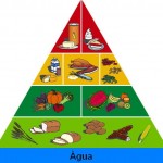 Tabelas De Calorias Para Uma Boa Alimentação