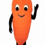 Os Benefícios da Cenoura Os Benefícios da Cenoura