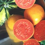 Goiaba- Dieta Com Goiaba Ajuda no Emagrecimento