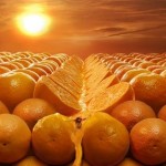 A Laranja e Seus Poderes A Laranja e Seus Poderes