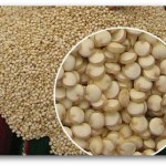 Quinua – O Que É - Benefícios Quinua – O Que É – Benefícios