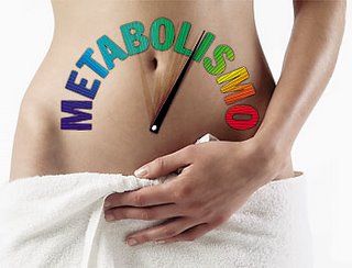 TMB – Taxa De Metabolismo Basal