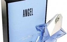 Perfume Angel | Informações