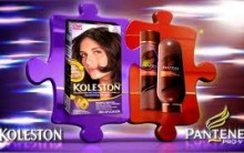 Salão Móvel Pantene e Koleston