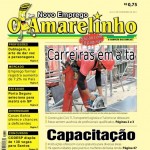 Jornal Novo Emprego O Amarelinho- Online