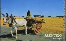 Casas de Férias em Alentejo