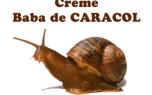 Creme Baba De Caracol