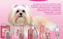 Nova Linha Duda Dove Para Cachorros e Gatos