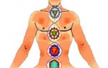 Sete Chakras do Corpo Humano