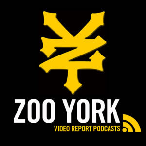 Zoo York – Loja Online