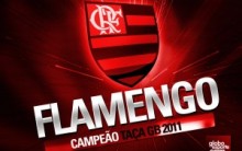 Novo Papel de Parede do Flamengo 2024