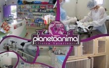 Planeta Animal – Clínica Veterinária