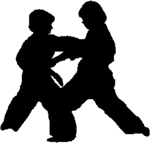 Faixas Do Karate