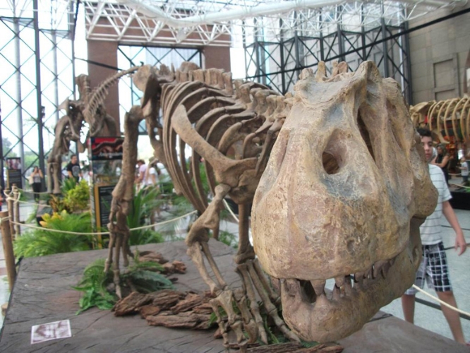 Exposição de Dinossauros no Shopping Morumbi