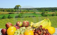 Saúde – Conheça As Frutas Mais Calóricas