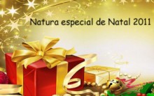 Natura kits Para o Natal 2024- Preços