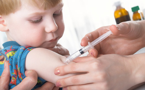Calendário de Vacinação 2024 – Modelo