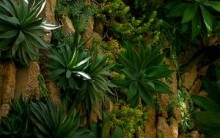 Decoração de Jardim com Plantas – Modelos de Jardim Vertical