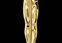 Oscar 2024 – Lista de Ganhadores do Oscar 2024