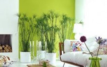 Decoração de Casa – Cores Verde – Dicas, Fotos e Modelos