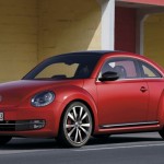 beetle-2025