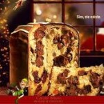 Natal Cacau Show 2025 - Comprar Pantones, Chocotones Natal Cacau Show 2025 - Comprar Pantones, Chocotones