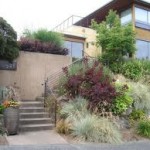 Flores Resistentes ao Clima Seco – Plantas Certas Para Clima Quente Flores Resistentes ao Clima Seco – Plantas Certas Para Clima Quente