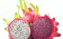 Os Benefícios da Fruta Pitaya – Ajuda a Perder Peso Com Saúde