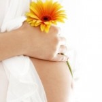 pregnant woman holding her belly and yellow flower