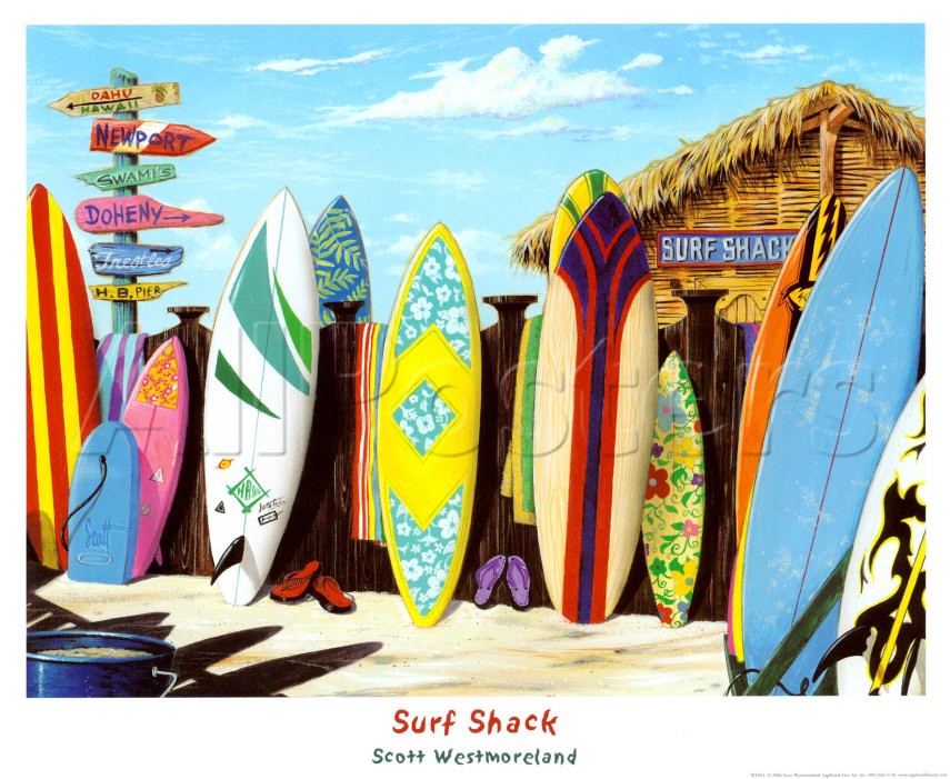 Pranchas de Surf Para Iniciantes – Onde Comprar, Qual o Preço, Modelos