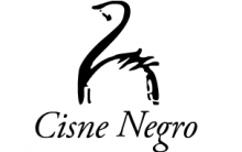 Curso de Dança Estúdio de Ballet Cisne Negro – Informações, Contatos, Enviar Mensagem ao Estúdio