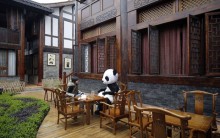 Novo Hotel Temático na China Inspirado em Urso Panda – Preço de  Diárias, Fotos