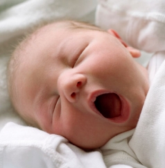 Quantas Horas de Sono um Bebê Precisa Entre Dia e Noite – Dicas