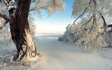 Lugares Que Tem Neve no Brasil – Dicas, Regiões que Neva