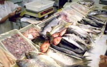 Como Escolher Peixe – Cuidados Que Devem Tomar, Dicas, Benefícios
