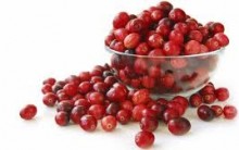 Cranberry Fruta  Que Previne a  Infecção Urinária – Quais Seus benefícios Para o Corpo