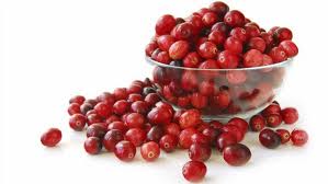 Cranberry Fruta  Que Previne a  Infecção Urinária – Quais Seus benefícios Para o Corpo