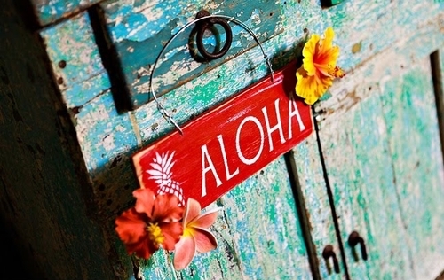 Viajar Para Havaí Nos Feriados De 2013 – Preços De Pacotes