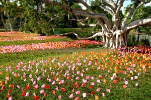 Fairchild-Tropical-Botanic-Garden-miami