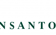 Programa de Estágio Monsanto 2024 – Datas, Inscrições, Processo Seletivo