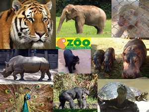 Zoologico_Sapucaia_do_Sul