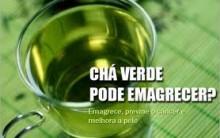 Chá Verde Para Emagrecer – Quais os Benefícios que Trazem, Onde Comprar  e Qual o Preço